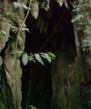 Gua Air Cave Water